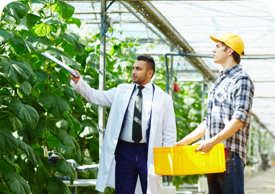 Eco-Friendly Products