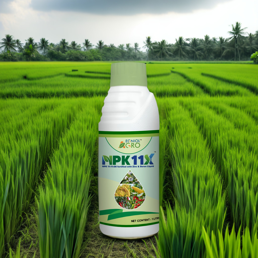 NPK 11:11:08 fortified with Zinc & Boron Liquid
